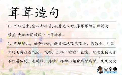 茸茸造句