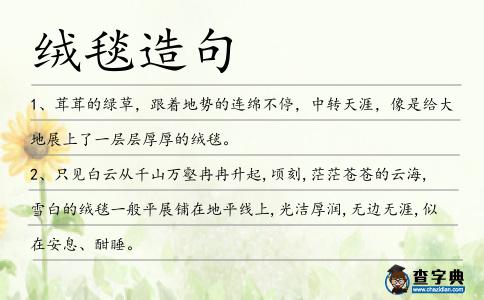 絨毯造句