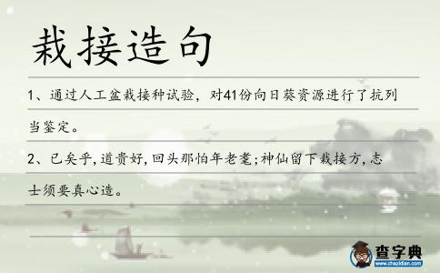 栽接造句