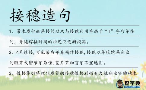 接穗造句