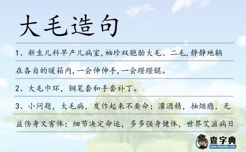 大毛造句