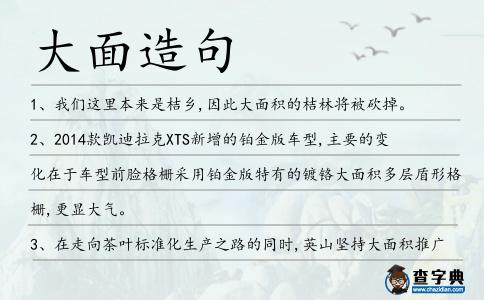 大面造句
