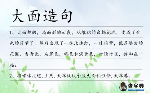 大面造句