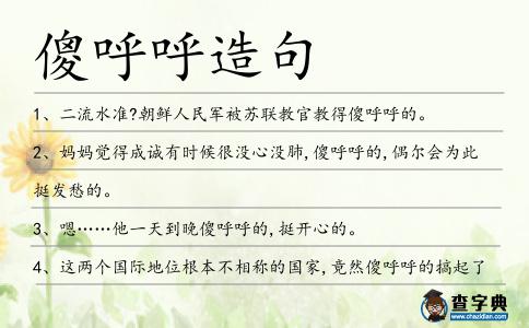 傻呼呼造句