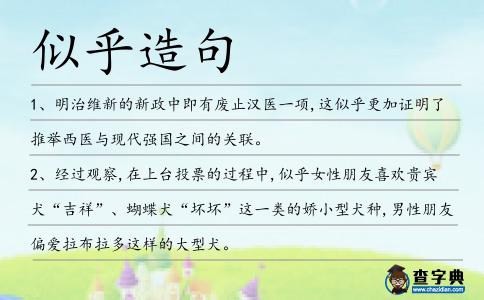 似乎造句