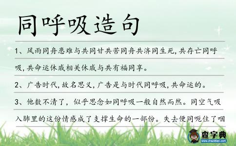 同呼吸造句