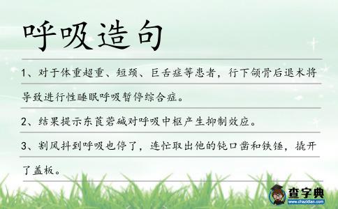 呼吸造句