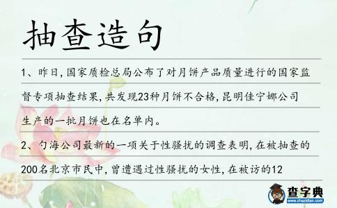 抽查造句