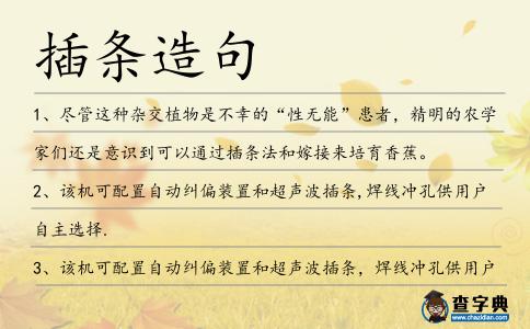 插條造句