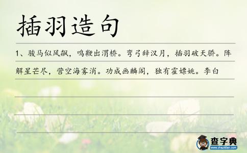 插羽造句