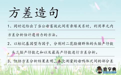 方差造句
