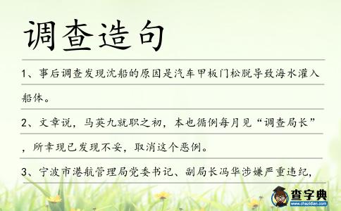 調(diào)查造句