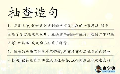 抽查造句
