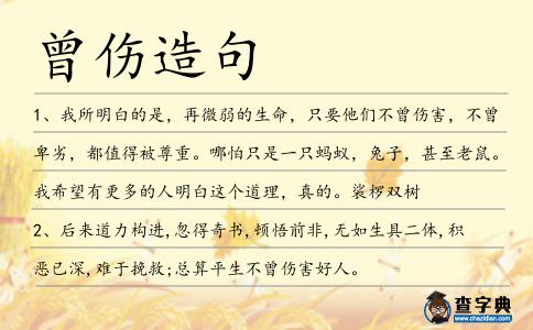 曾傷造句