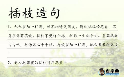 插枝造句