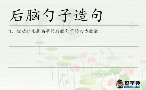 后腦勺子造句