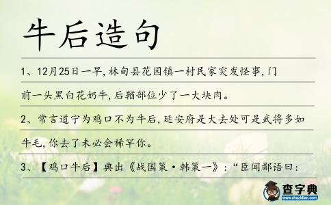 牛后造句