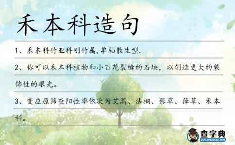 禾本科造句