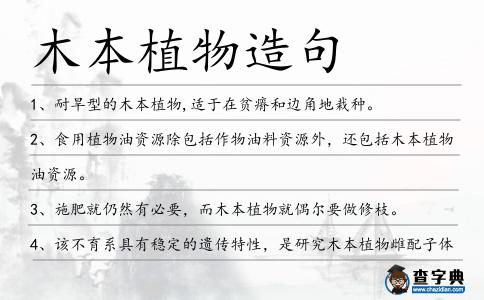 木本植物造句