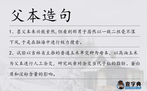父本造句