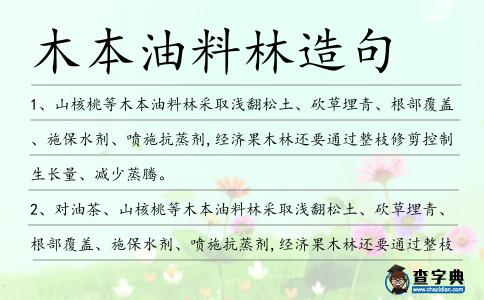 木本油料林造句