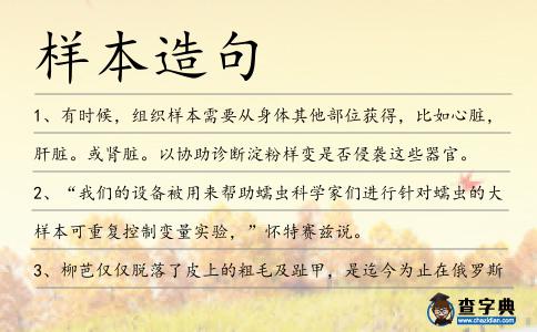 樣本造句