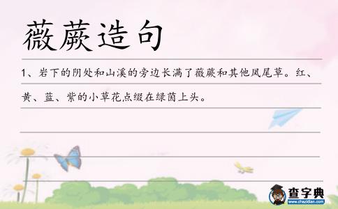 薇蕨造句