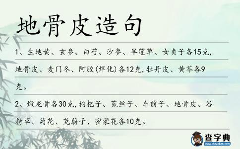 地骨皮造句