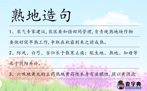 熟地造句