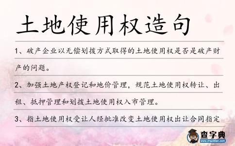 土地使用權(quán)造句