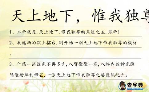 天上地下,惟我獨尊造句