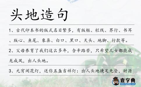 頭地造句