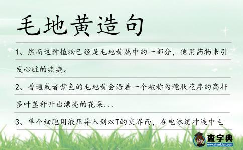 毛地黃造句