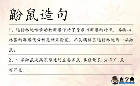 鼢鼠造句