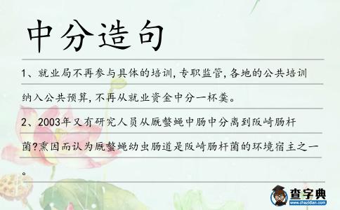 中分造句