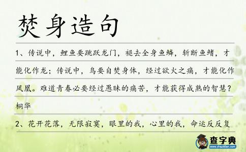 焚身造句