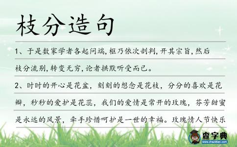 枝分造句