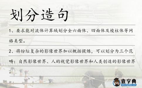 劃分造句