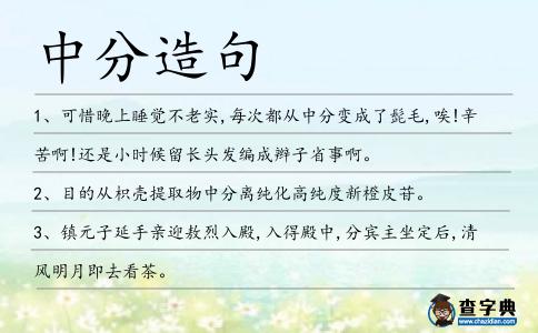 中分造句