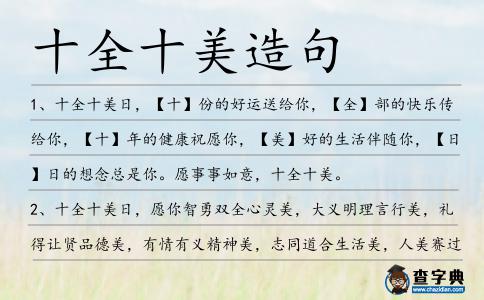 十全十美造句