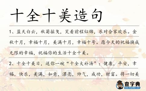 十全十美造句