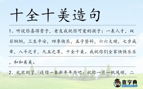 十全十美造句