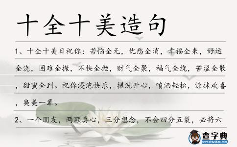 十全十美造句
