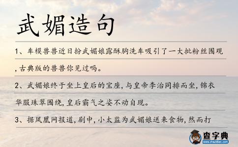 武媚造句