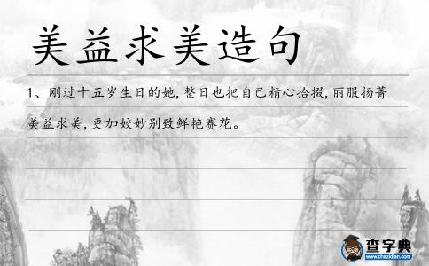 美益求美造句