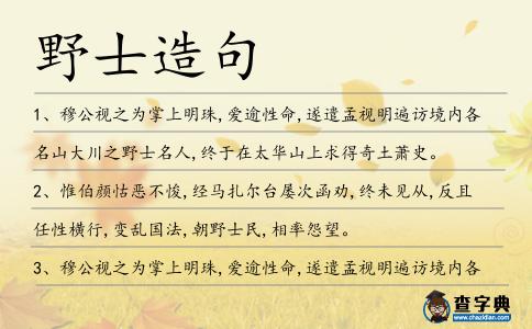 野士造句