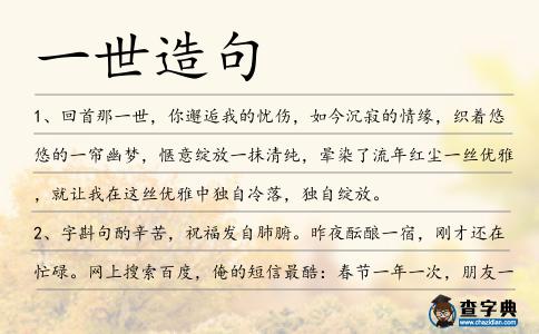 一世造句