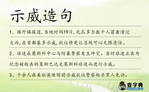 示威造句