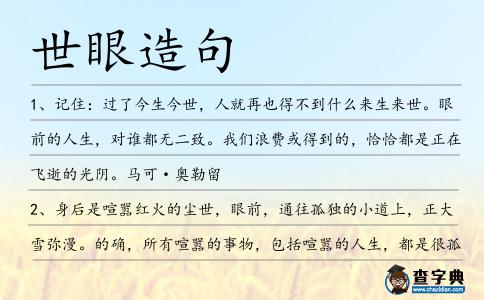 世眼造句