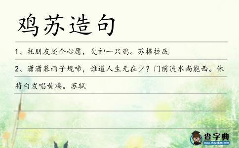 雞蘇造句
